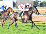 Two jockeys race their horses on a sunny dirt track; the black horse with a green number 6 saddlecloth leads, ridden by a jockey in red-and-white, as a chestnut horse in blue follows closely behind.