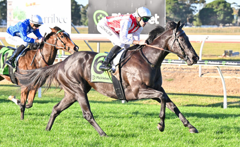 Two jockeys race their horses on a sunny dirt track; the black horse with a green number 6 saddlecloth leads, ridden by a jockey in red-and-white, as a chestnut horse in blue follows closely behind.