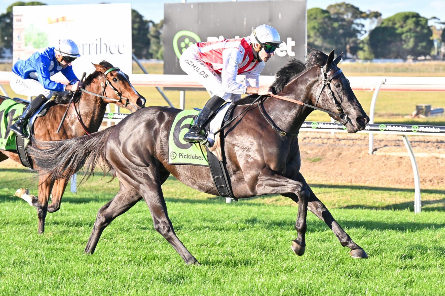 Two jockeys race their horses on a sunny dirt track; the black horse with a green number 6 saddlecloth leads, ridden by a jockey in red-and-white, as a chestnut horse in blue follows closely behind.