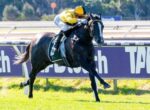 A dark horse gallops at full speed with a jockey in bright yellow silks on a racetrack rail background.
