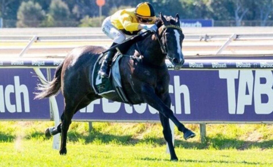 A dark horse gallops at full speed with a jockey in bright yellow silks on a racetrack rail background.