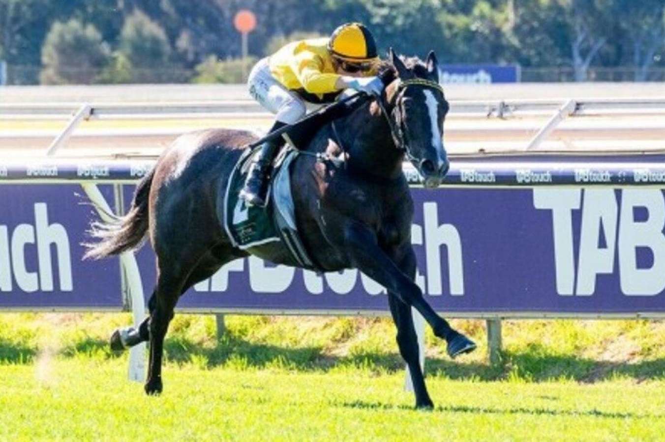 A dark horse gallops at full speed with a jockey in bright yellow silks on a racetrack rail background.