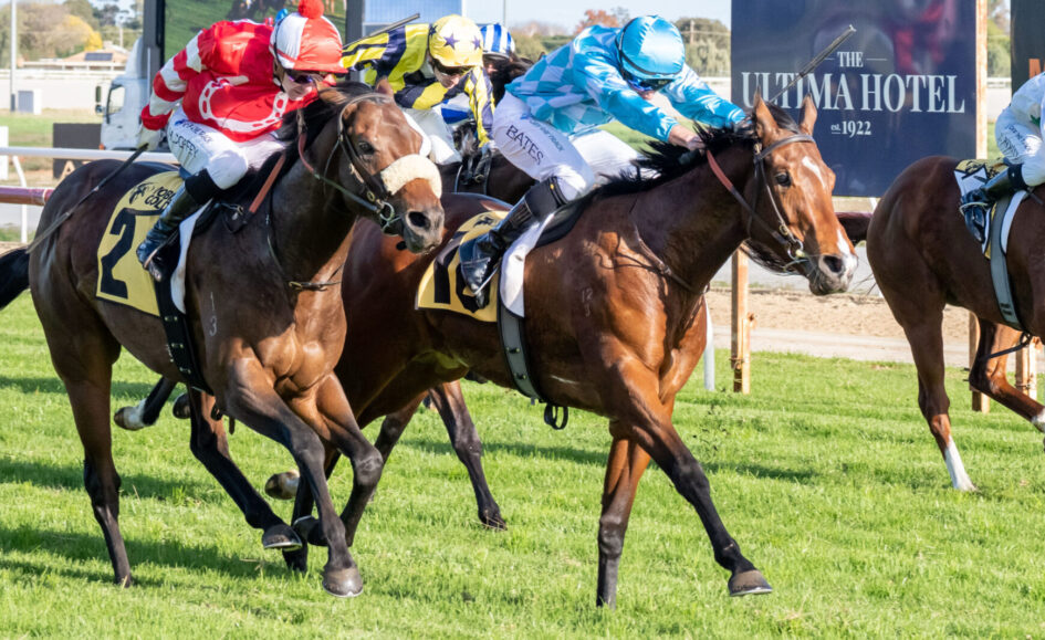 Jockeys in colorful silks ride racing horses on a grassy track, close competition with a large hotel sign in the background reading 'The Ultima Hotel'.