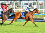 Two jockeys in red and blue silks race side by side on racehorses across a sunlit green turf track.