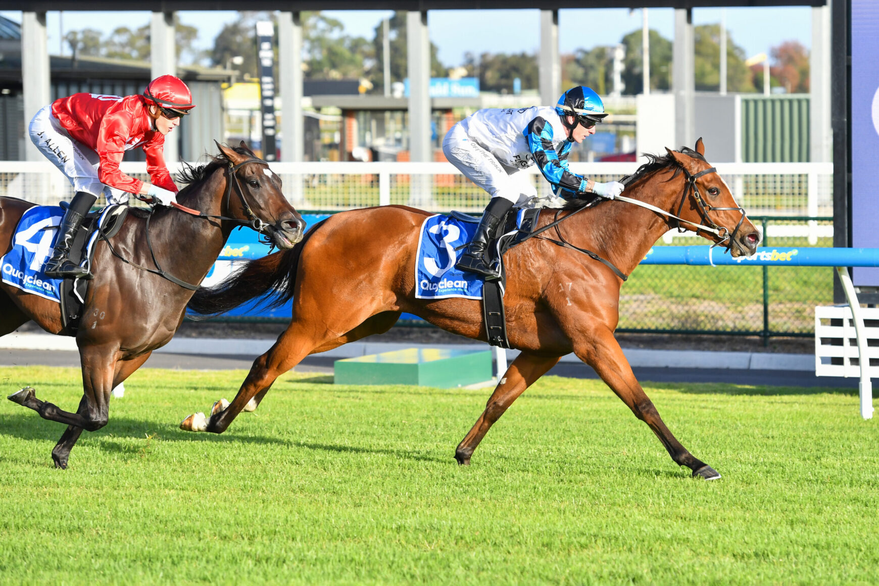 Two jockeys in red and blue silks race side by side on racehorses across a sunlit green turf track.