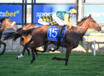 Jockey in yellow and green silks rides a dark brown horse wearing a blue number 15 saddlecloth labeled HYGAN, racing on a grassy track with competitors close behind.