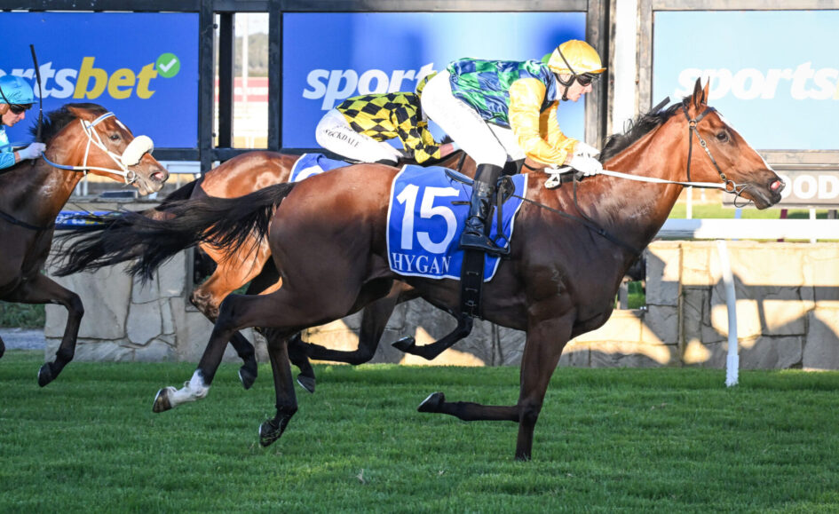 Jockey in yellow and green silks rides a dark brown horse wearing a blue number 15 saddlecloth labeled HYGAN, racing on a grassy track with competitors close behind.