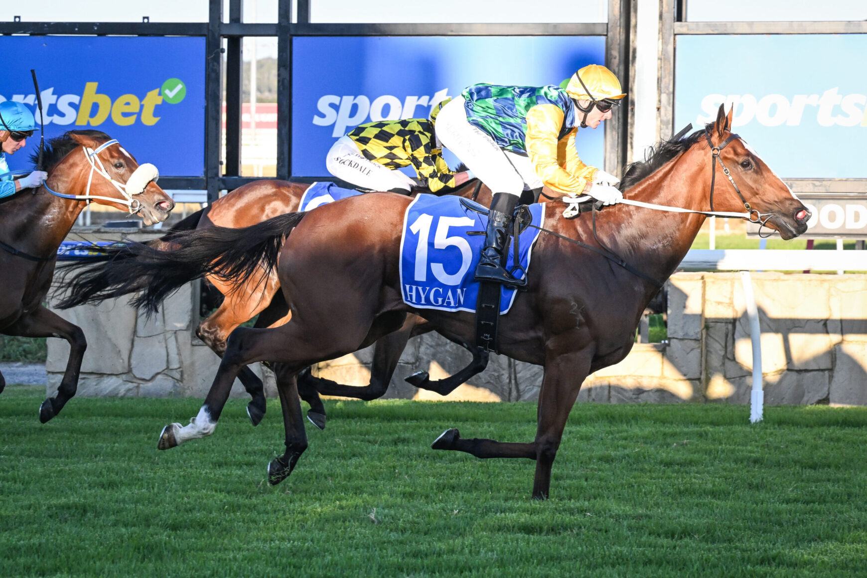 Jockey in yellow and green silks rides a dark brown horse wearing a blue number 15 saddlecloth labeled HYGAN, racing on a grassy track with competitors close behind.