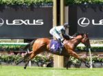 Jockey in white and green silks riding a brown horse over a hurdle at a racecourse, with Lexus banners in the background.