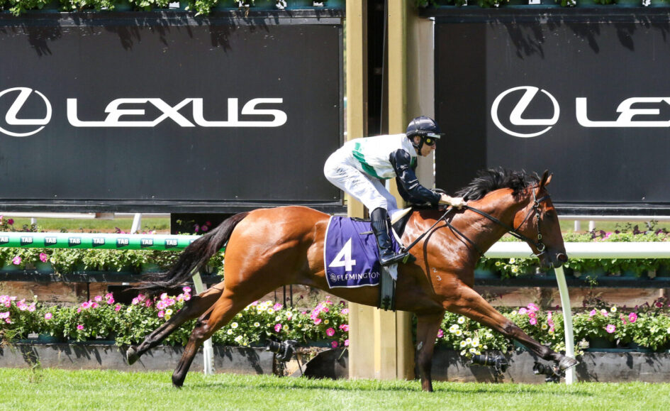 Jockey in white and green silks riding a brown horse over a hurdle at a racecourse, with Lexus banners in the background.