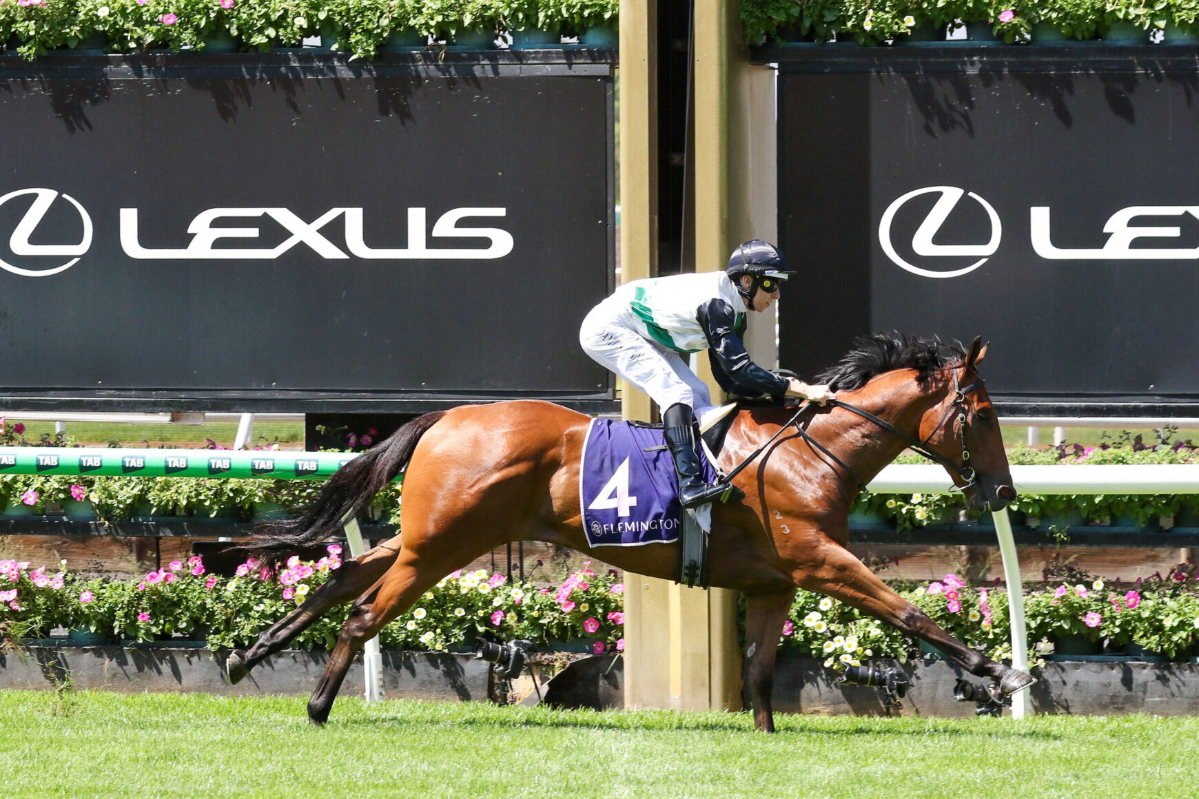 Jockey in white and green silks riding a brown horse over a hurdle at a racecourse, with Lexus banners in the background.