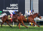 Jockeys on racing horses sprinting at Caulfield Racecourse, finish line in view and a crowd behind the track (race in progress).