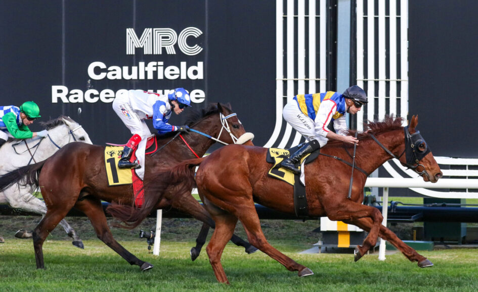 Jockeys on racing horses sprinting at Caulfield Racecourse, finish line in view and a crowd behind the track (race in progress).