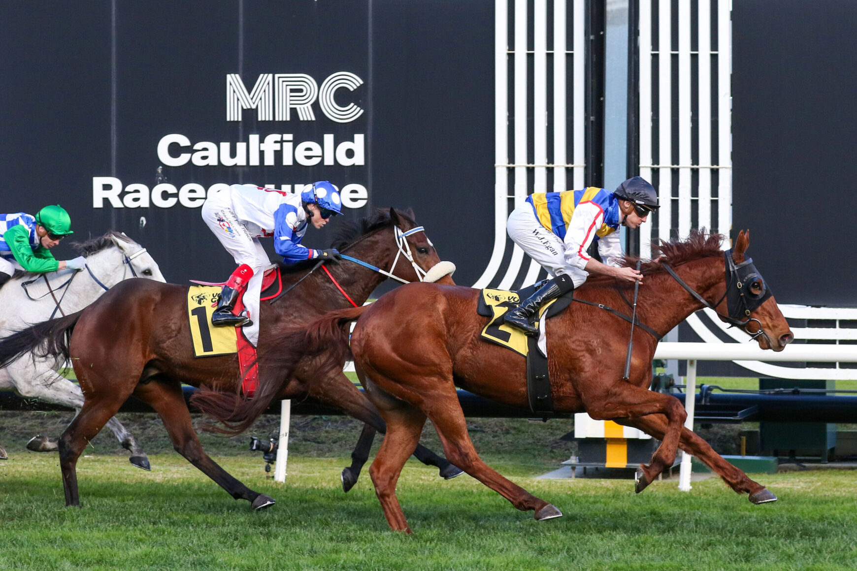 Jockeys on racing horses sprinting at Caulfield Racecourse, finish line in view and a crowd behind the track (race in progress).