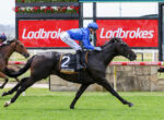Jockey in blue silks rides a black horse at full gallop on a grassy racetrack, with Ladbrokes banners in the background.