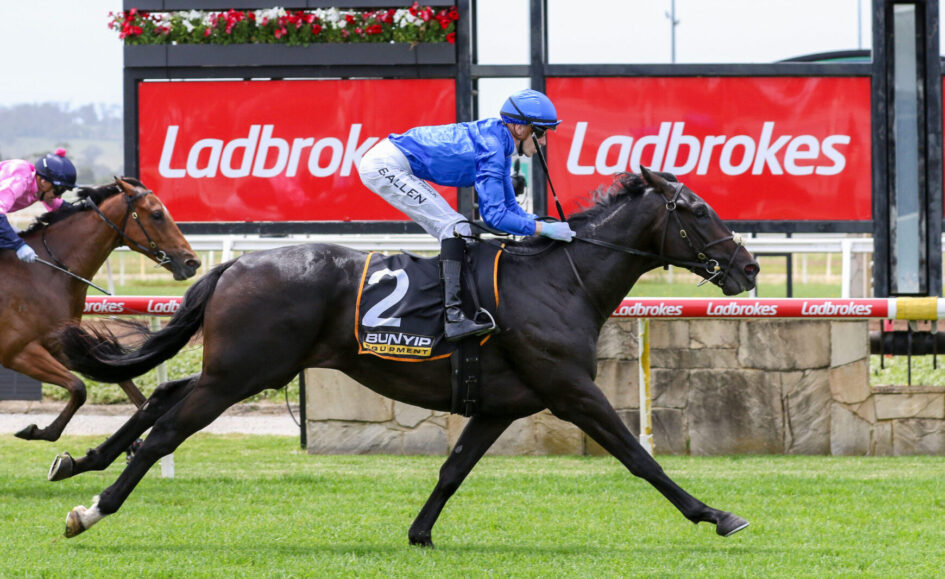Jockey in blue silks rides a black horse at full gallop on a grassy racetrack, with Ladbrokes banners in the background.