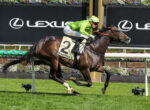 Jockey in neon green silks riding a dark brown horse leaping over a hurdle at a racetrack, DrinkWise bib number 2 visible behind a Lexus signboards