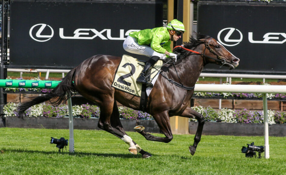 Jockey in neon green silks riding a dark brown horse leaping over a hurdle at a racetrack, DrinkWise bib number 2 visible behind a Lexus signboards