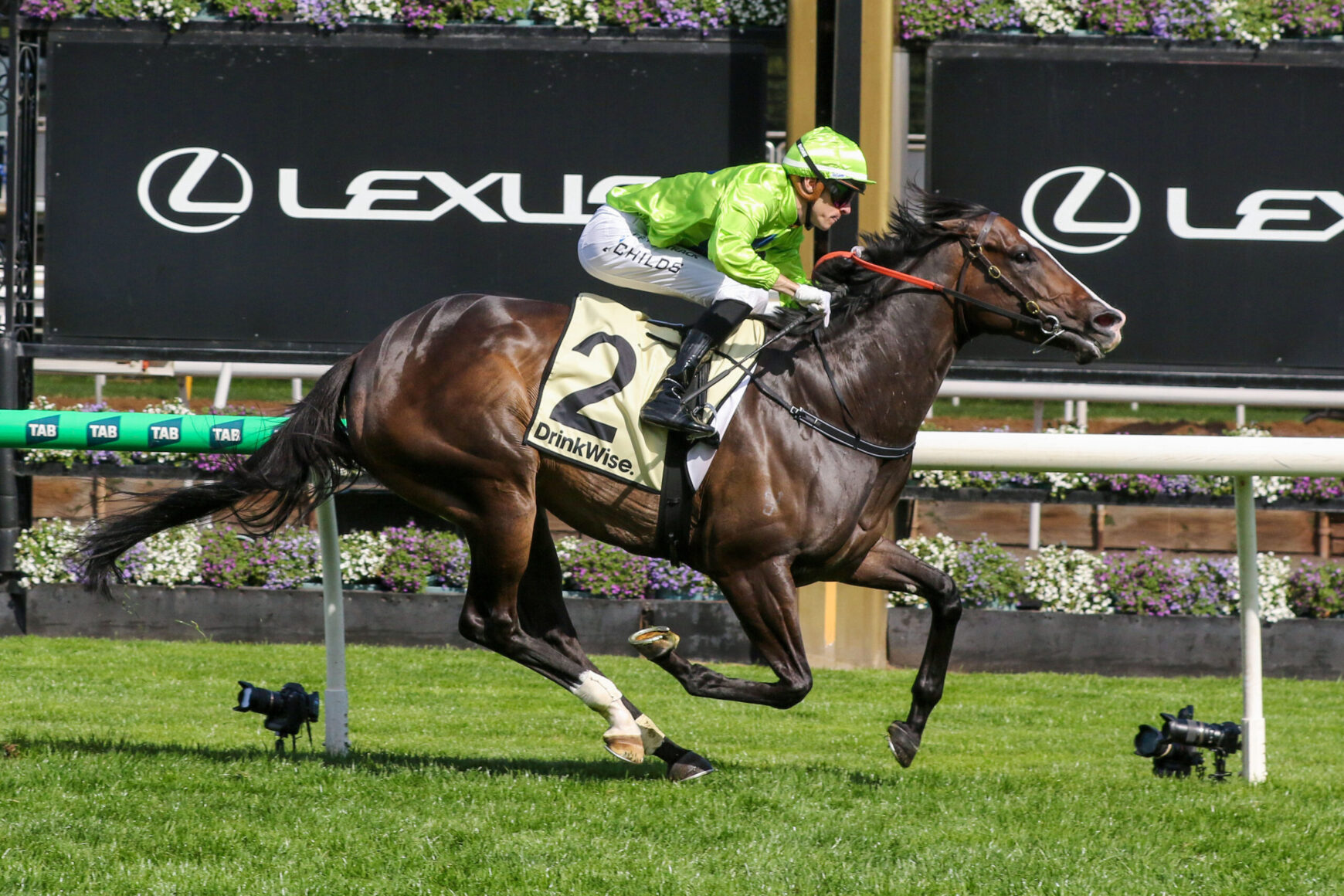 Jockey in neon green silks riding a dark brown horse leaping over a hurdle at a racetrack, DrinkWise bib number 2 visible behind a Lexus signboards