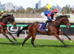 Two thoroughbred racehorses gallop side by side on a track, jockeys in bright silks, with the lead horse wearing number 7 at Flemington.