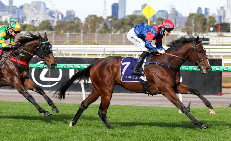 Two thoroughbred racehorses gallop side by side on a track, jockeys in bright silks, with the lead horse wearing number 7 at Flemington.