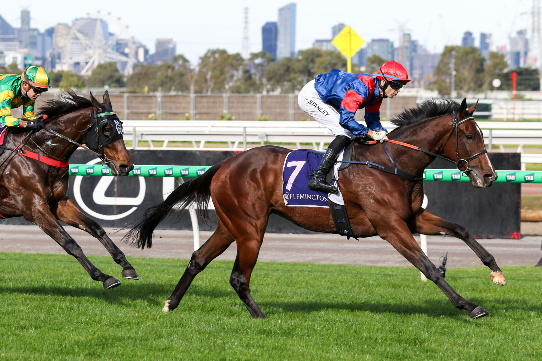 Two thoroughbred racehorses gallop side by side on a track, jockeys in bright silks, with the lead horse wearing number 7 at Flemington.