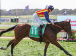 Jockey in red-and-yellow striped silks rides a brown horse with a green number-11 cloth at a racecourse."