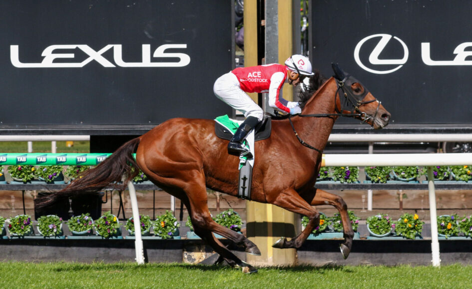 Brown horse and jockey in red-and-white silks leap over a hurdle during a race with large Lexus signage in the background