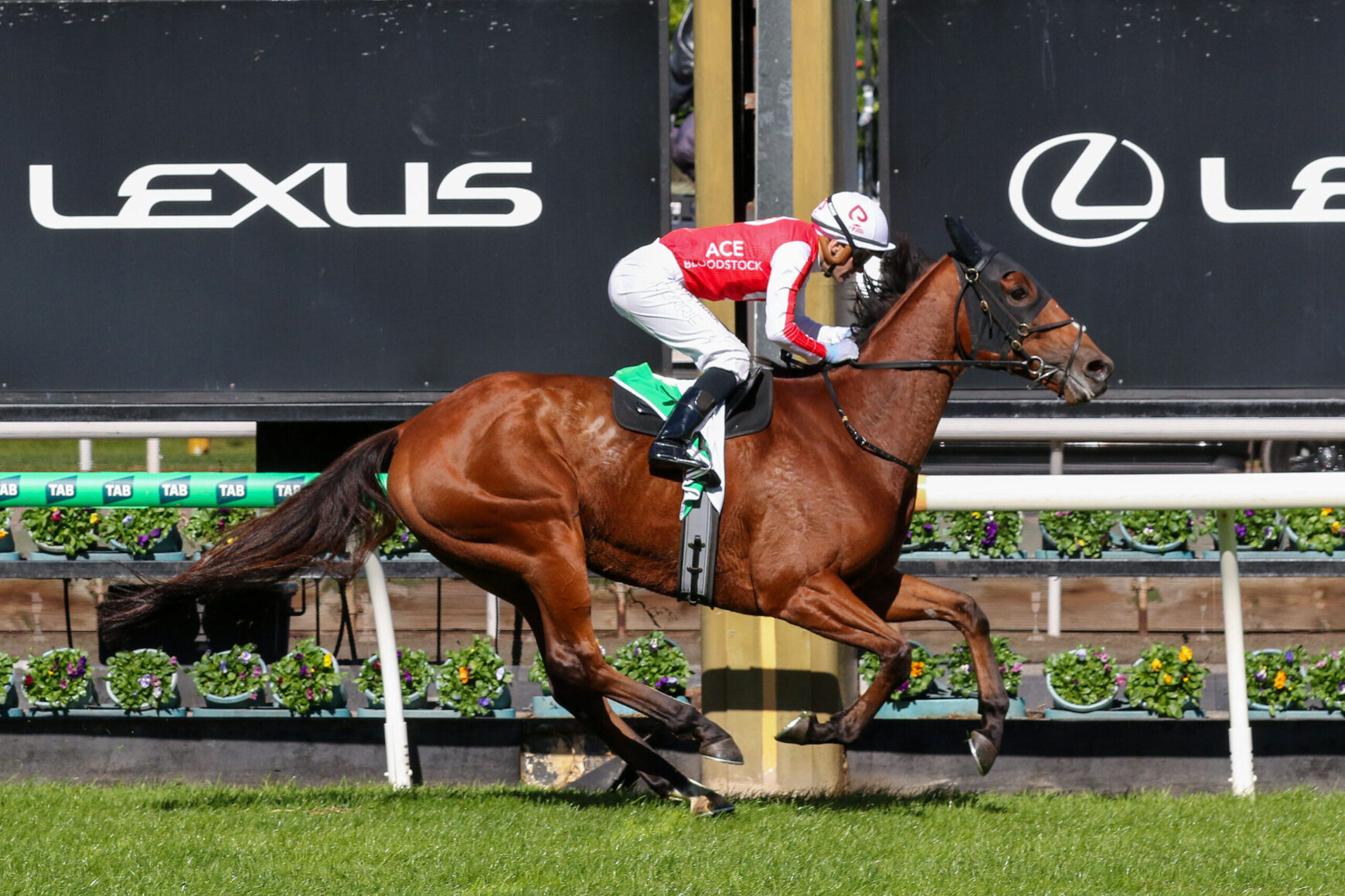 Brown horse and jockey in red-and-white silks leap over a hurdle during a race with large Lexus signage in the background