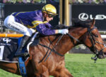Jockey in purple and yellow silks atop a brown racing horse at full gallop, wearing a gold helmet and white gloves.