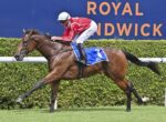 Bay Thoroughbred horse with jockey in red and white silks gallops along the turf racecourse; blue saddlecloth and white rails, Royal Randwick backdrop.