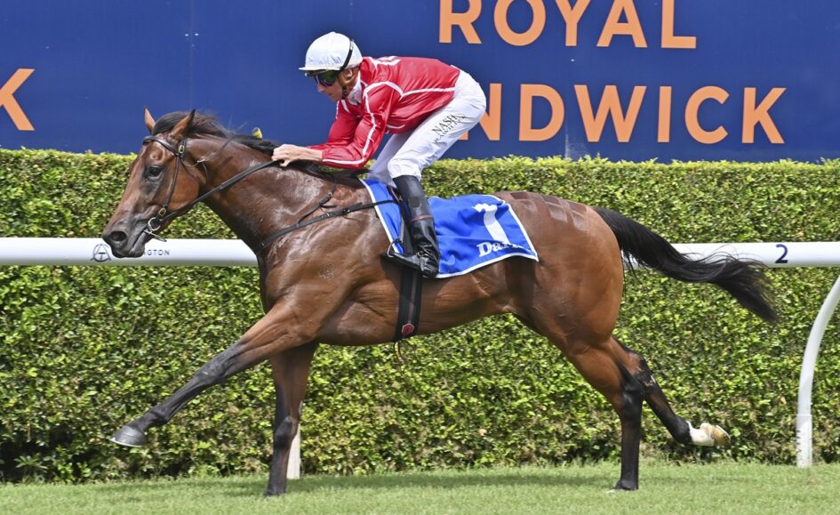 Bay Thoroughbred horse with jockey in red and white silks gallops along the turf racecourse; blue saddlecloth and white rails, Royal Randwick backdrop.