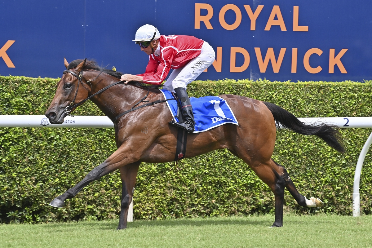Bay Thoroughbred horse with jockey in red and white silks gallops along the turf racecourse; blue saddlecloth and white rails, Royal Randwick backdrop.