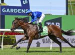 Jockey in blue silks riding a brown galloping horse with green saddle cloth #4 on a racecourse.
