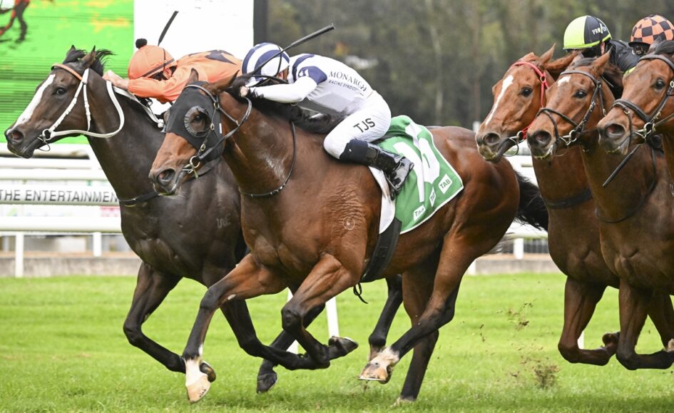 Horses race side by side on a track, jockeys in colorful silks battling for the lead during a crowded finish.