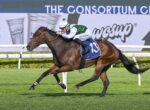 Horse race in progress: jockey wearing green and white silks riding a bay horse with the number 13 saddlecloth on a turf track with white rails and a blurred sponsor banner in the background.