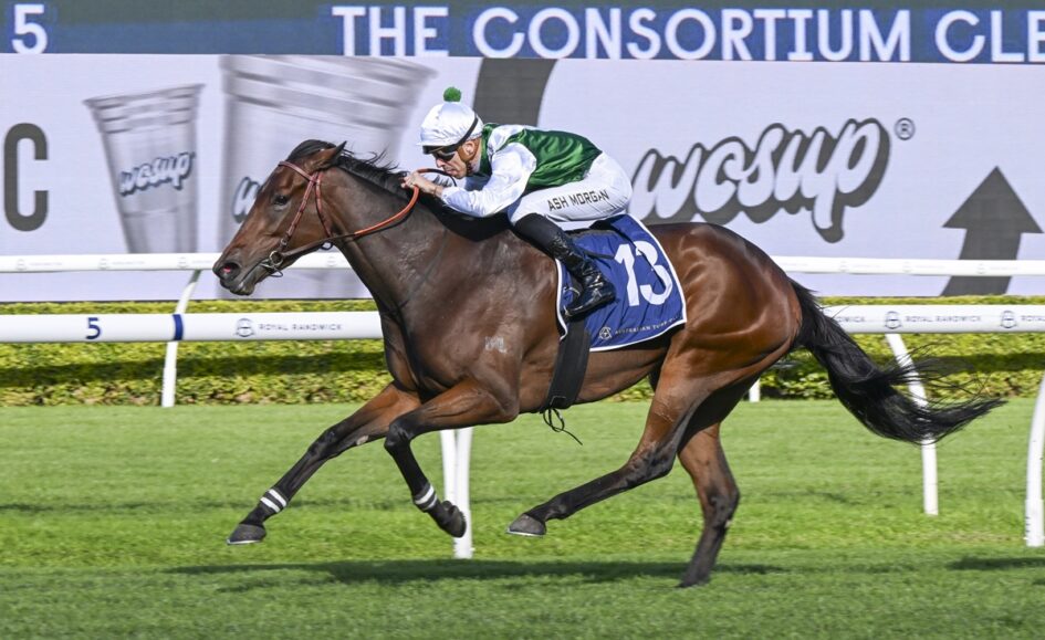 Horse race in progress: jockey wearing green and white silks riding a bay horse with the number 13 saddlecloth on a turf track with white rails and a blurred sponsor banner in the background.