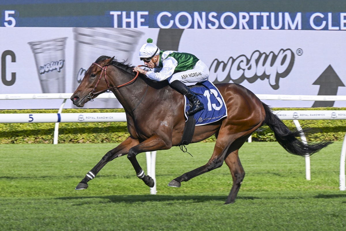 Horse race in progress: jockey wearing green and white silks riding a bay horse with the number 13 saddlecloth on a turf track with white rails and a blurred sponsor banner in the background.