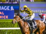 Jockey in yellow and black diamond silks rides a brown racehorse, leading a race on the track.
