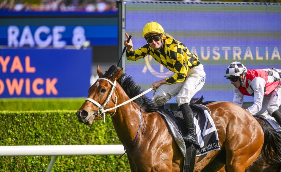 Jockey in yellow and black diamond silks rides a brown racehorse, leading a race on the track.