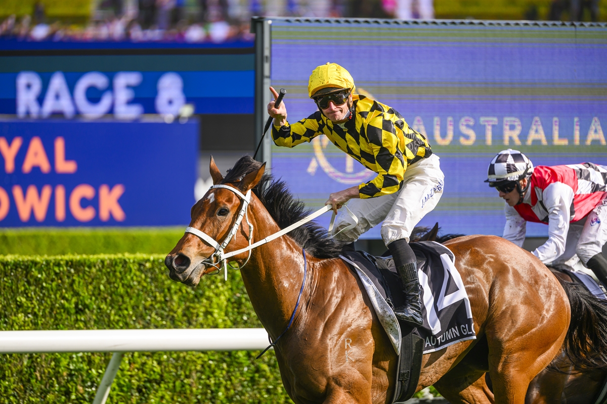 Jockey in yellow and black diamond silks rides a brown racehorse, leading a race on the track.