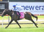 Jockey in a blue helmet rides a dark brown horse with a pink saddlecloth marked number 3 during a race on a grassy track.