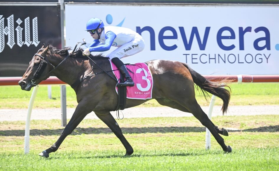 Jockey in a blue helmet rides a dark brown horse with a pink saddlecloth marked number 3 during a race on a grassy track.