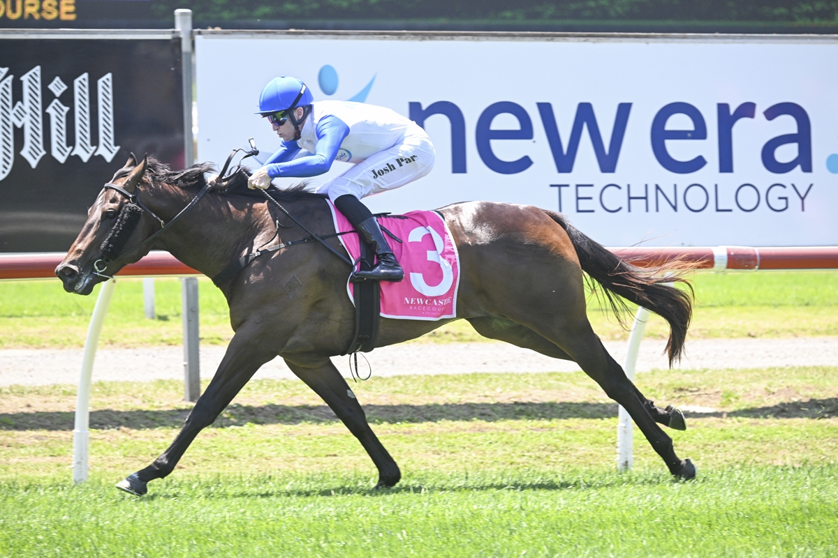 Jockey in a blue helmet rides a dark brown horse with a pink saddlecloth marked number 3 during a race on a grassy track.