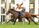 Jockey in orange striped silks rides a brown racehorse jumping a railing on a track, both in mid-stride under a modern backdrop.