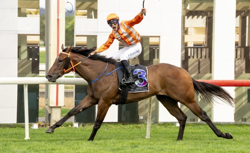 Jockey in orange striped silks rides a brown racehorse jumping a railing on a track, both in mid-stride under a modern backdrop.