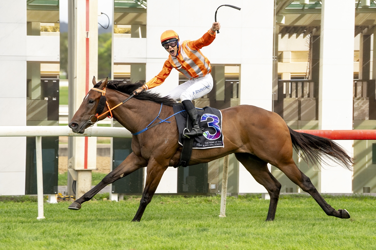 Jockey in orange striped silks rides a brown racehorse jumping a railing on a track, both in mid-stride under a modern backdrop.