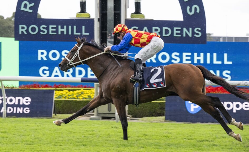 Jockey in red-yellow checkered silks riding a brown horse, number 2, galloping on a grass track at Rosehill Gardens with a blue sign in the background.