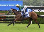 Racehorse with jockey in green jacket and yellow cap, number 15 saddle cloth reading 'SHEZA ALIBI', sprinting on a turf track.