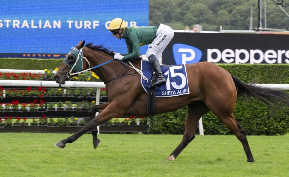 Racehorse with jockey in green jacket and yellow cap, number 15 saddle cloth reading 'SHEZA ALIBI', sprinting on a turf track.